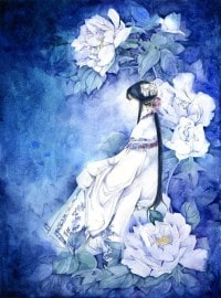 风满楼